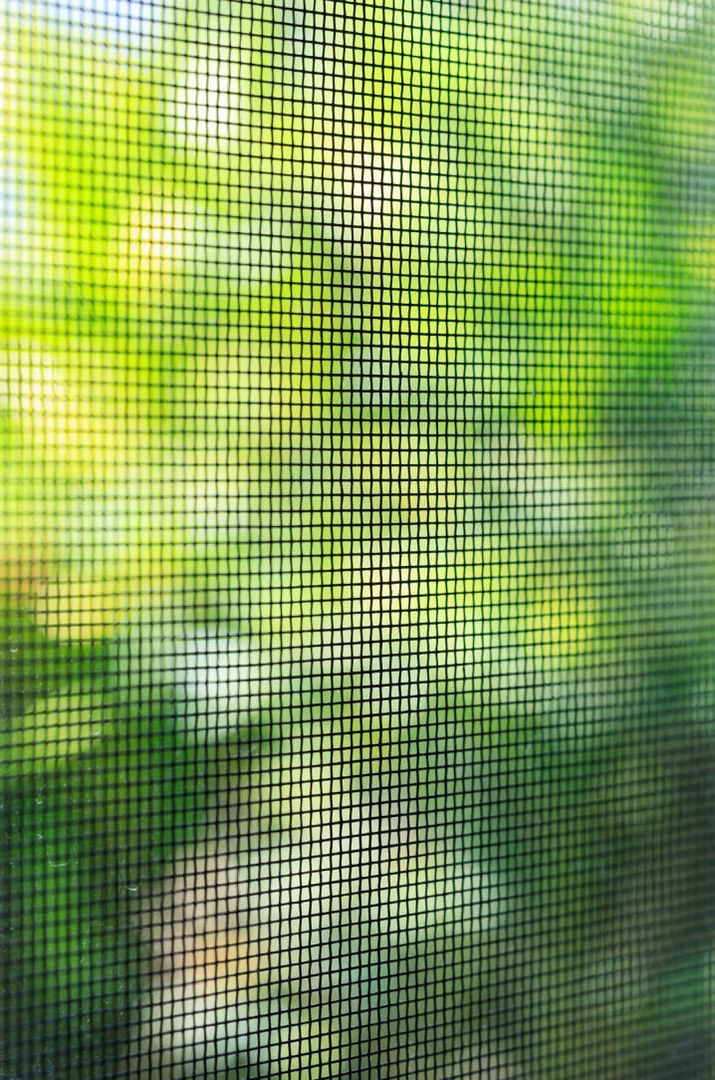 Detailaufnahme eines Insektenschutzes